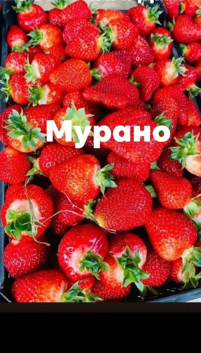 Ягода 'Разсад - Азия, Мурано, Клери'